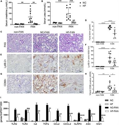 Fiber Derived Microbial Metabolites Prevent Acute Kidney Injury Through G-Protein Coupled Receptors and HDAC Inhibition